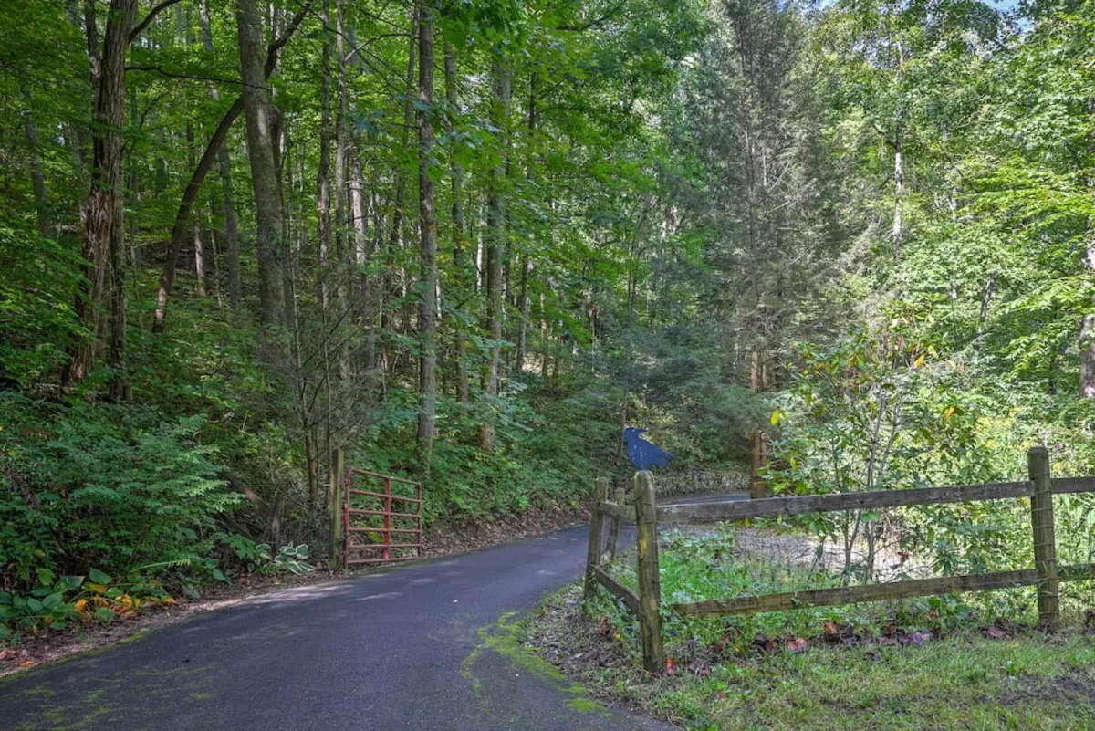 A peaceful scene featuring a winding path leading through a red gate and dense, vibrant greenery. The setting is inviting for nature walks, hiking, or simply enjoying the seasonal beauty of the forest.